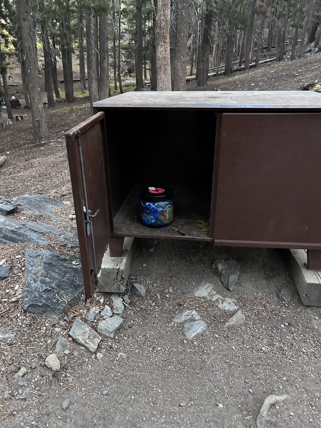 A bear canister sitting inside an open metal bear box at a forested trailhead campground