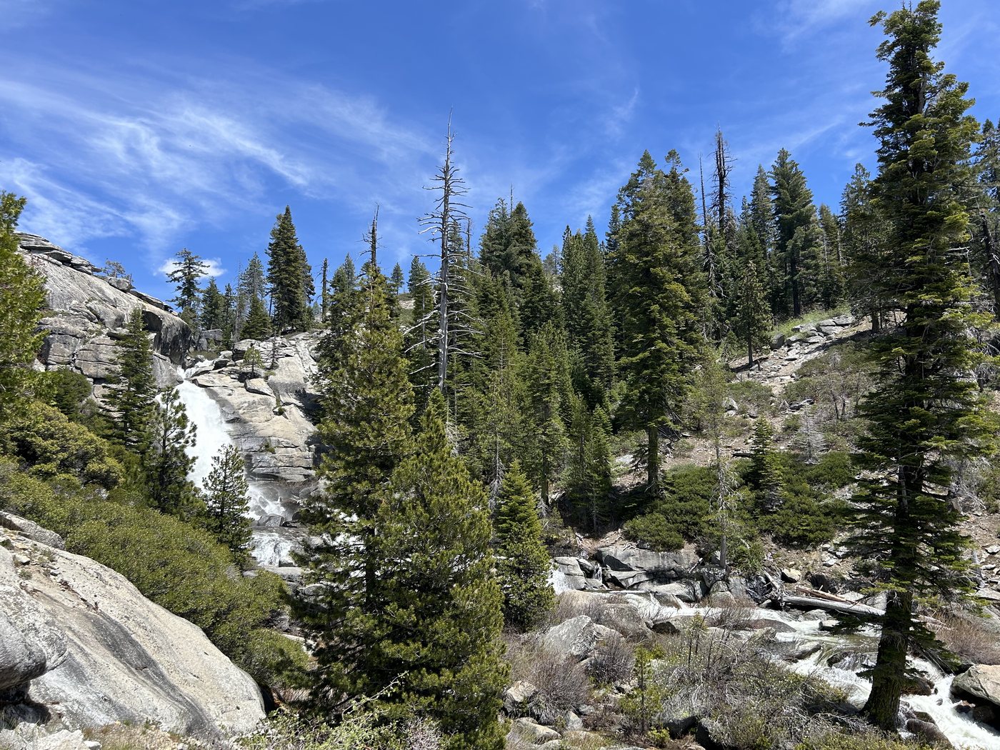 A creek running down open granite slabs between pines under a bright blue sky, whitewater braiding across the bare rock