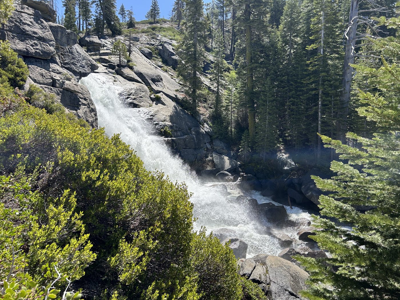 A tall waterfall falling clear off a granite lip across a forested canyon, breaking into mist partway down among green pines