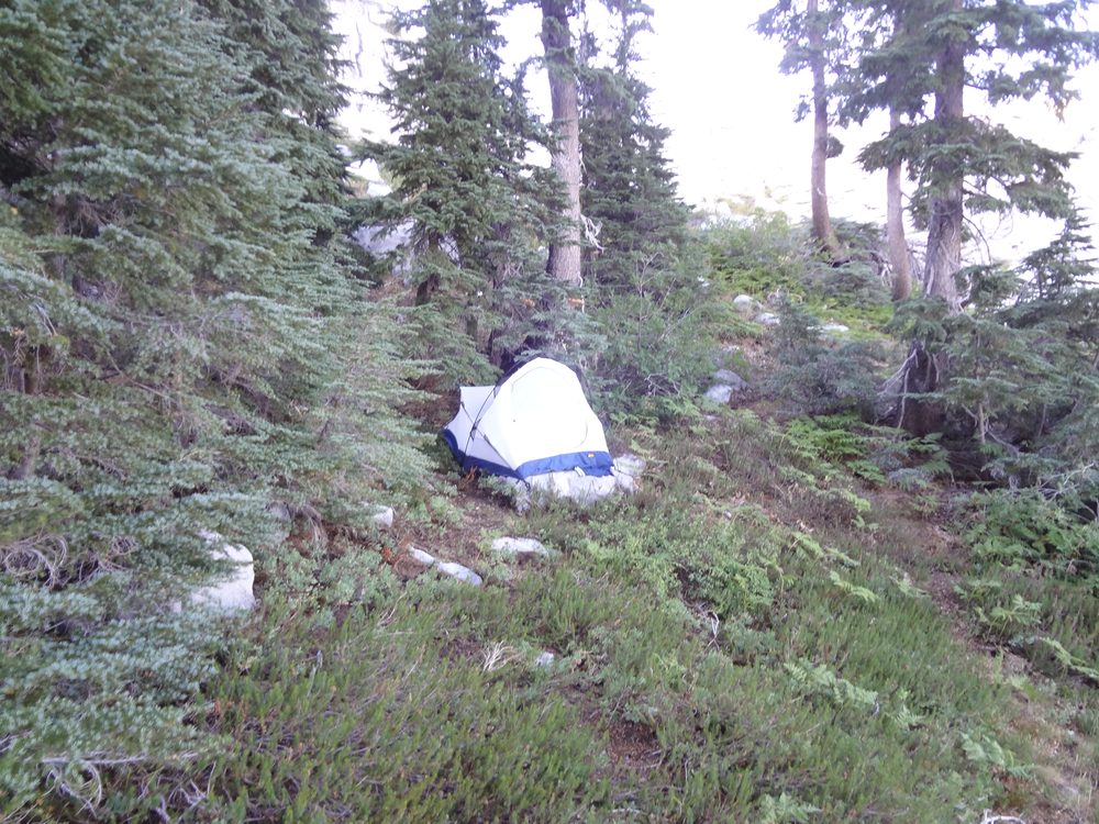 Tent pitched on a steep forested hillside in Desolation Wilderness