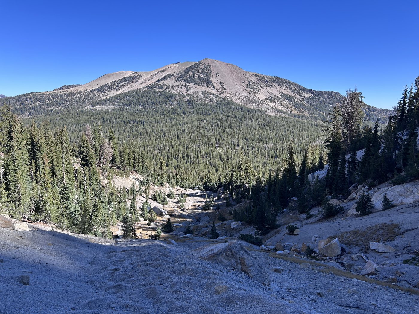 A trail of pale pumice and scattered boulders climbing a wash between pines, with a broad bare gray summit rising above a forested valley behind