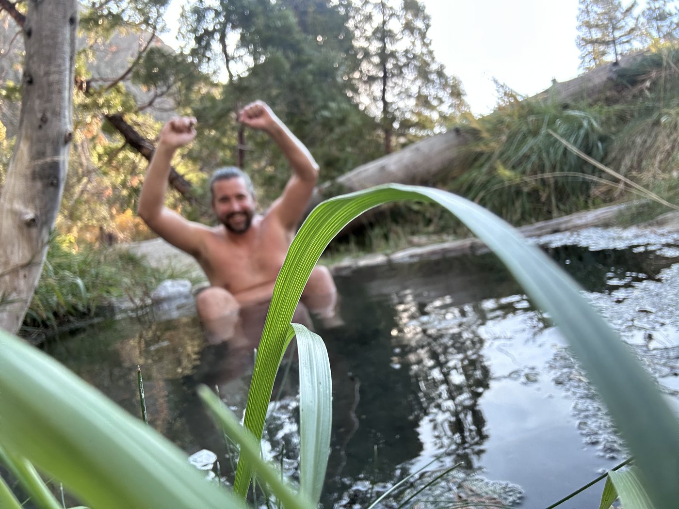 A bearded hiker sitting in a hot spring pool with both arms raised in celebration, seen past tall green reeds, with pines and a fallen log behind
