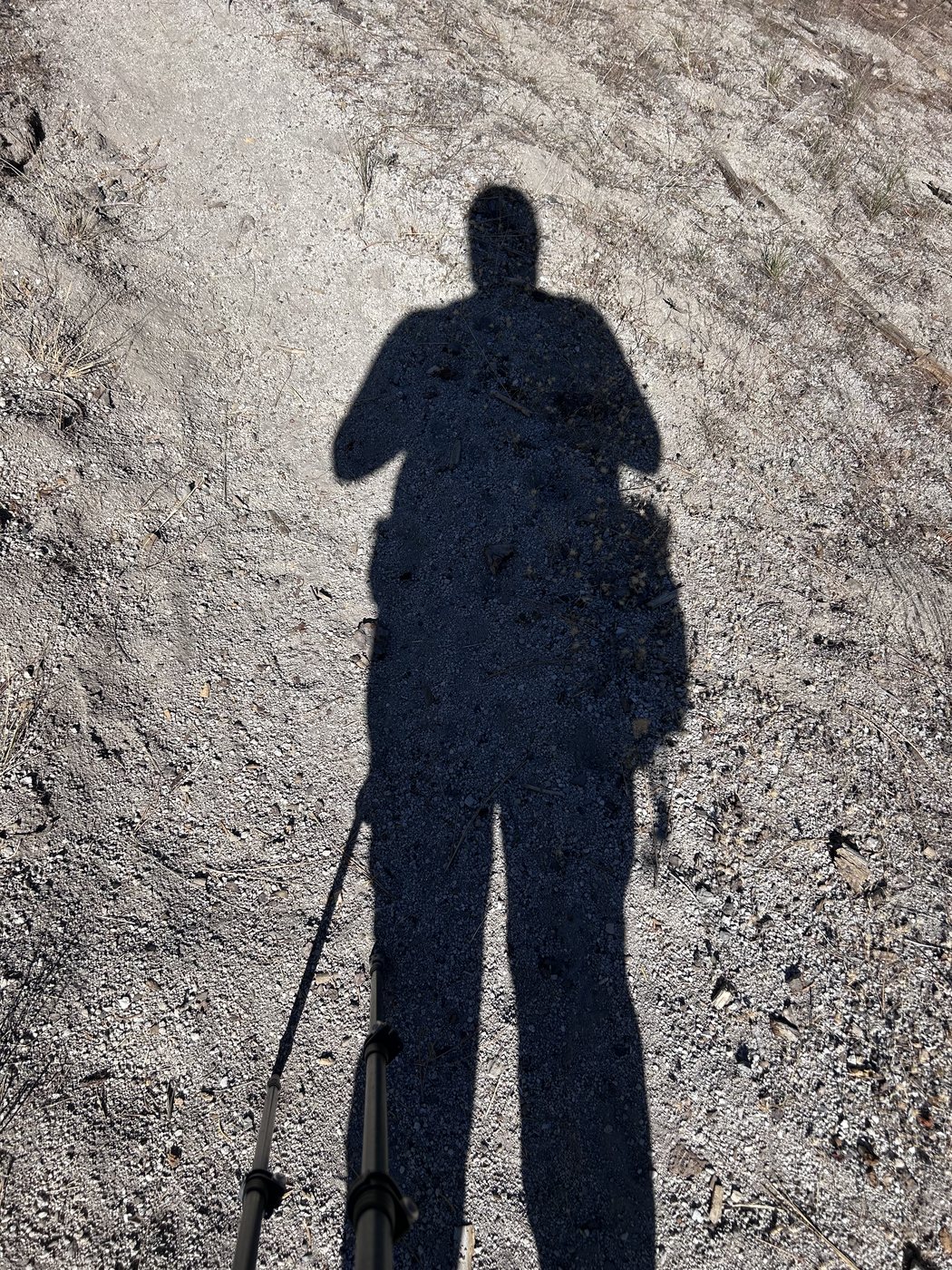 The long shadow of a hiker with a backpack and trekking pole cast across a sandy trail