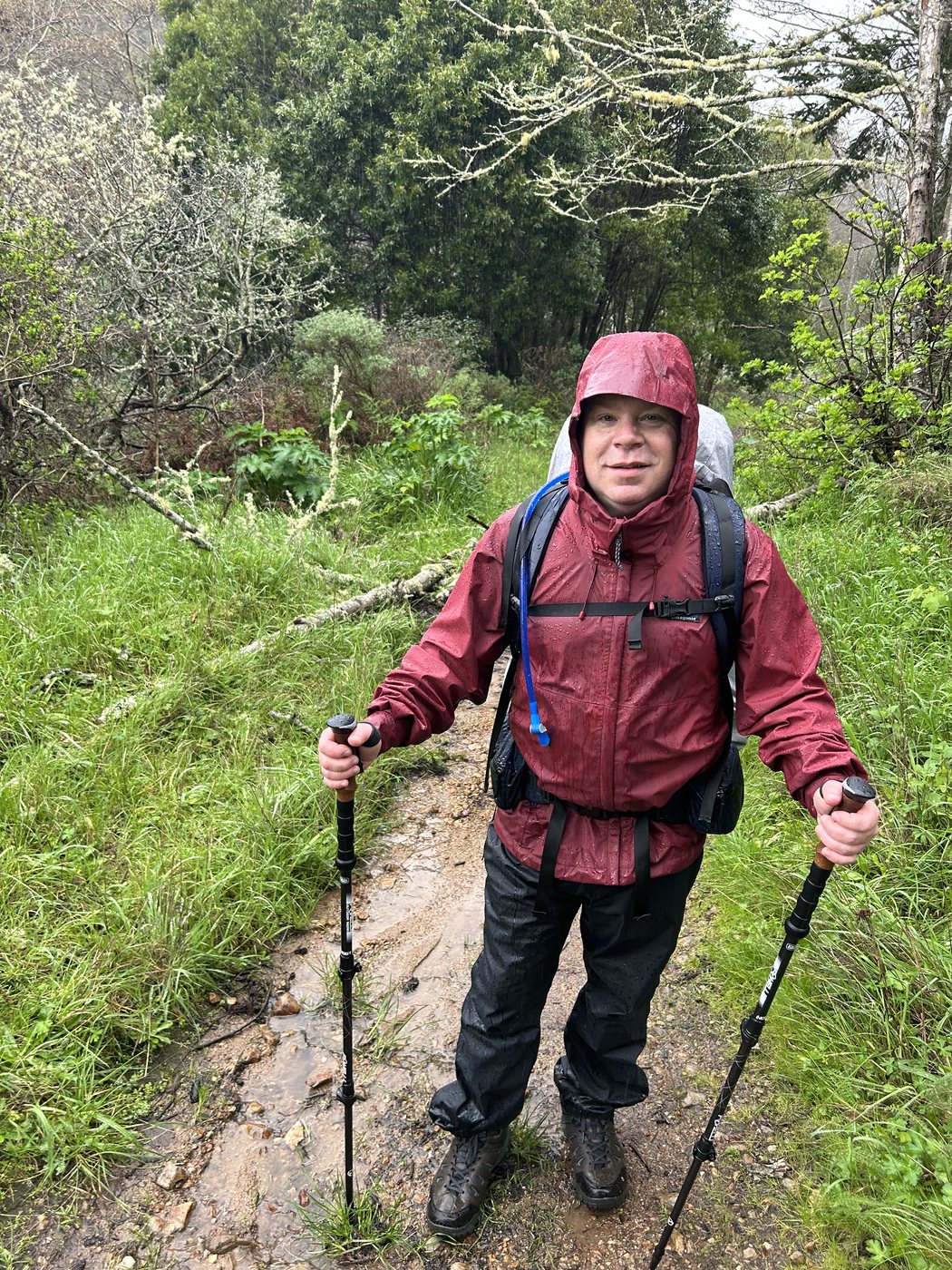 A backpacker in a soaked red rain shell and rain pants standing on a wet trail with trekking poles, wet green brush all around