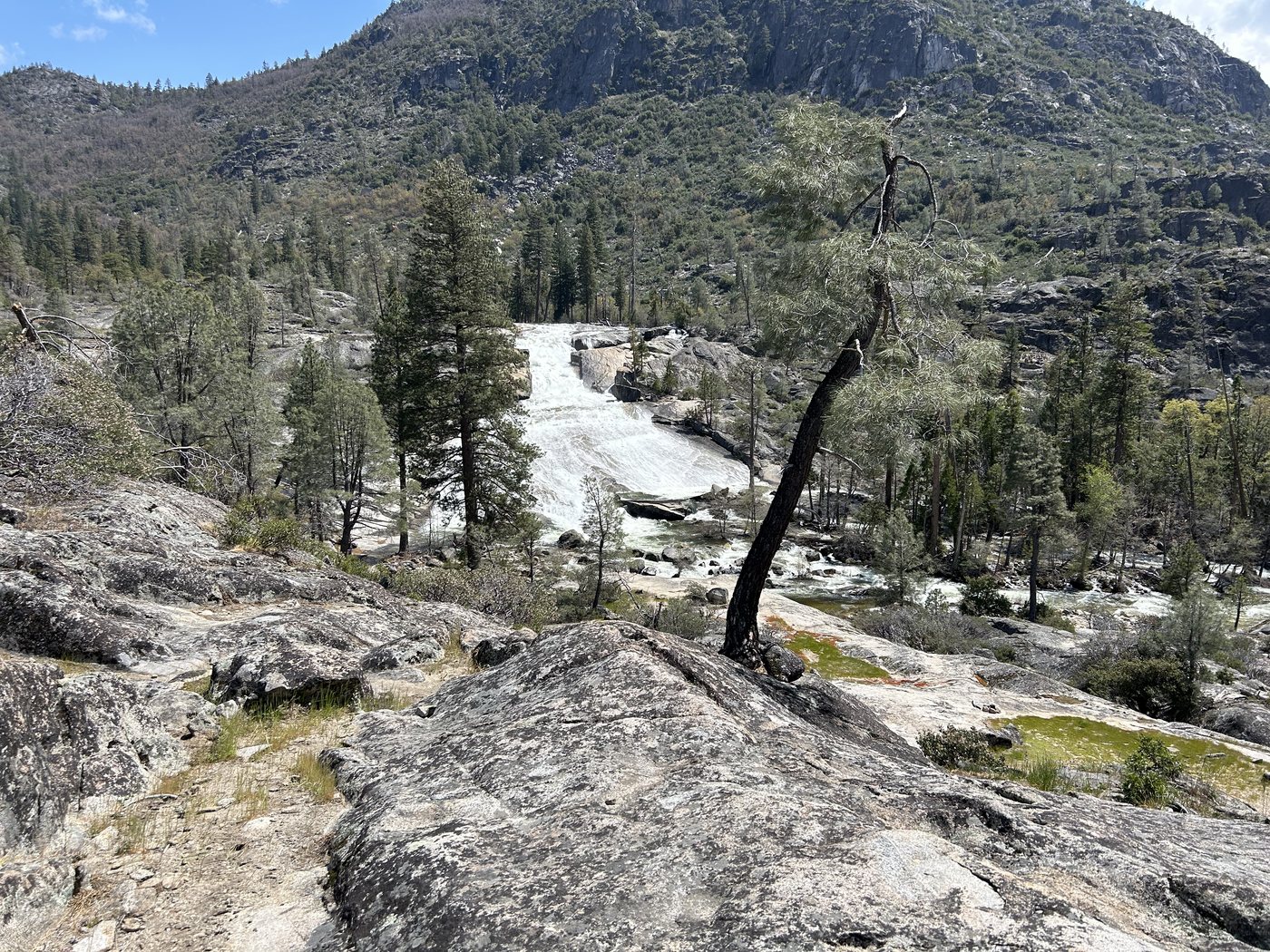 Rancheria Creek in flood, sheeting white across a broad apron of bare granite with burned pines standing along the bank