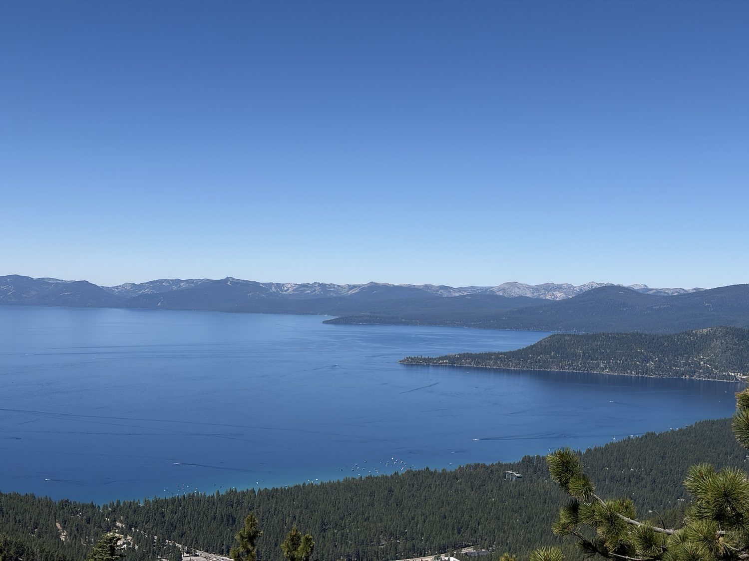 Lake Tahoe seen deep blue from high on the east rim of the Tahoe Rim Trail, framed by pines