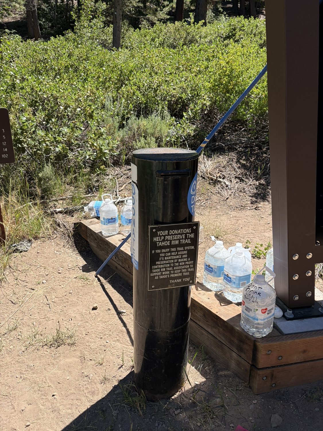 Plastic water jugs left as a trail cache beside a road crossing on the Tahoe Rim Trail