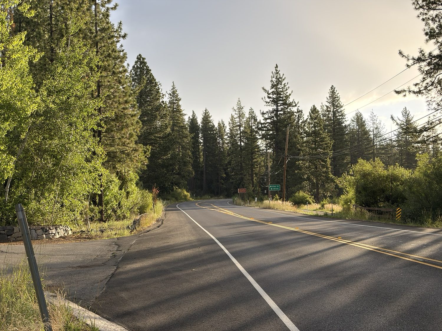 An empty paved road and bike path leading out of Tahoe City into the pines in early morning