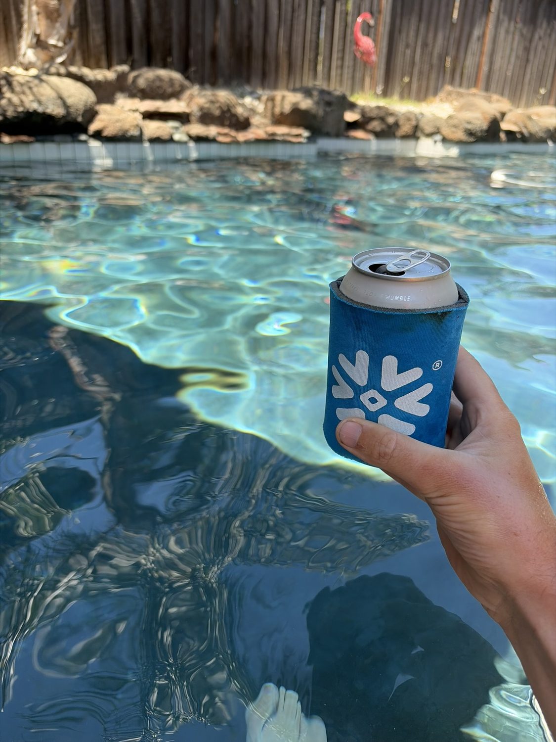 A cold drink in a koozie held over a backyard pool with bare feet in the water