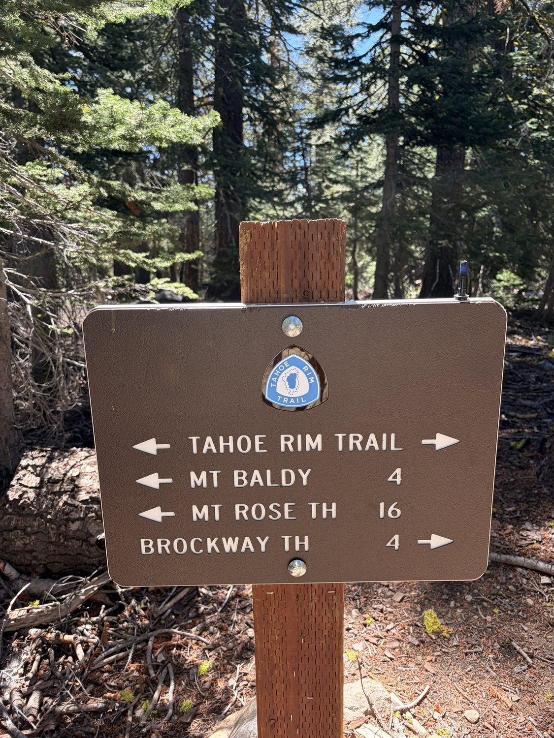 A brown wooden Tahoe Rim Trail sign showing directions to Mt Rose and Brockway trailheads