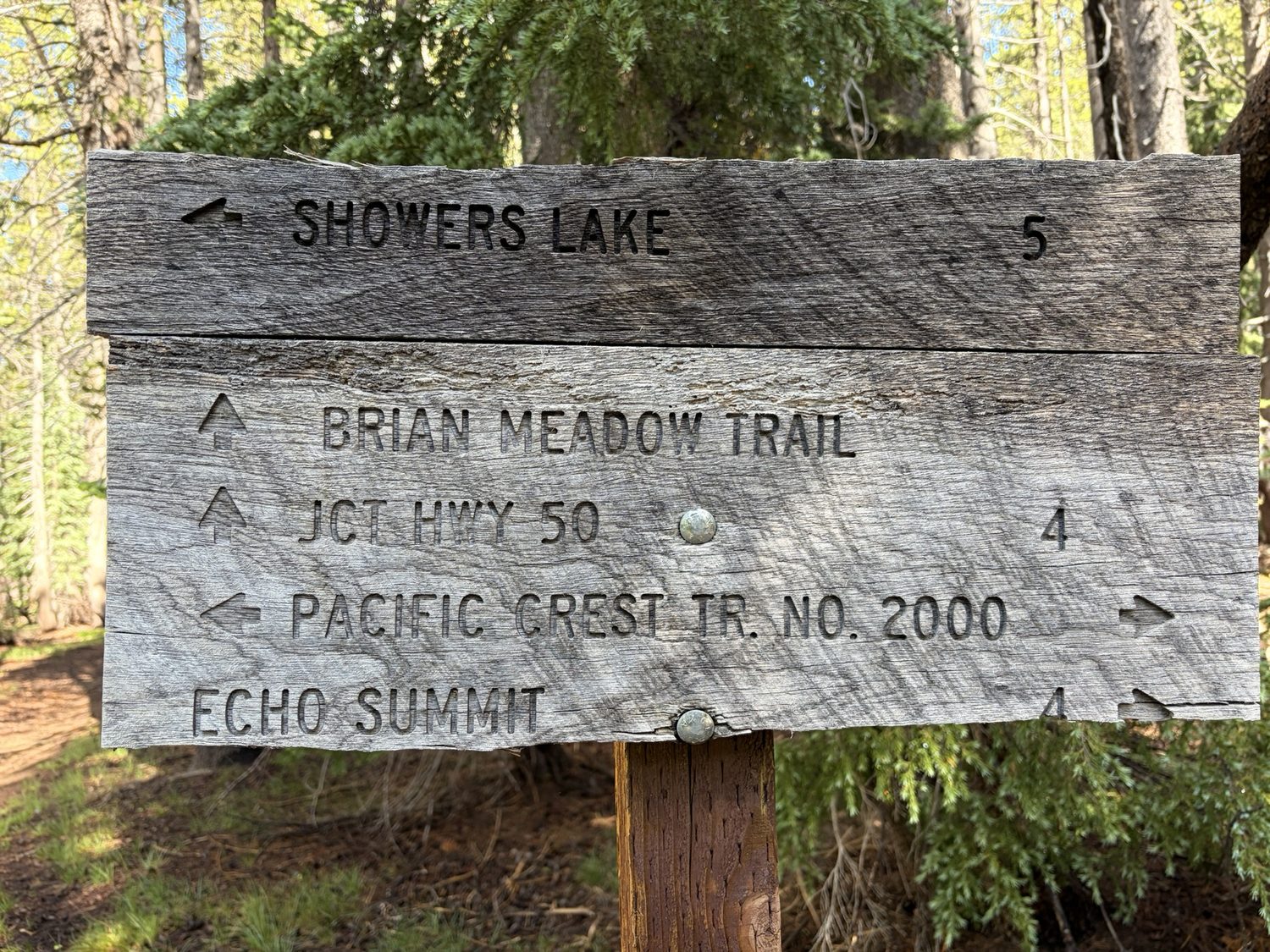 A trail sign pointing to Showers Lake, the Pacific Crest Trail, and Echo Summit