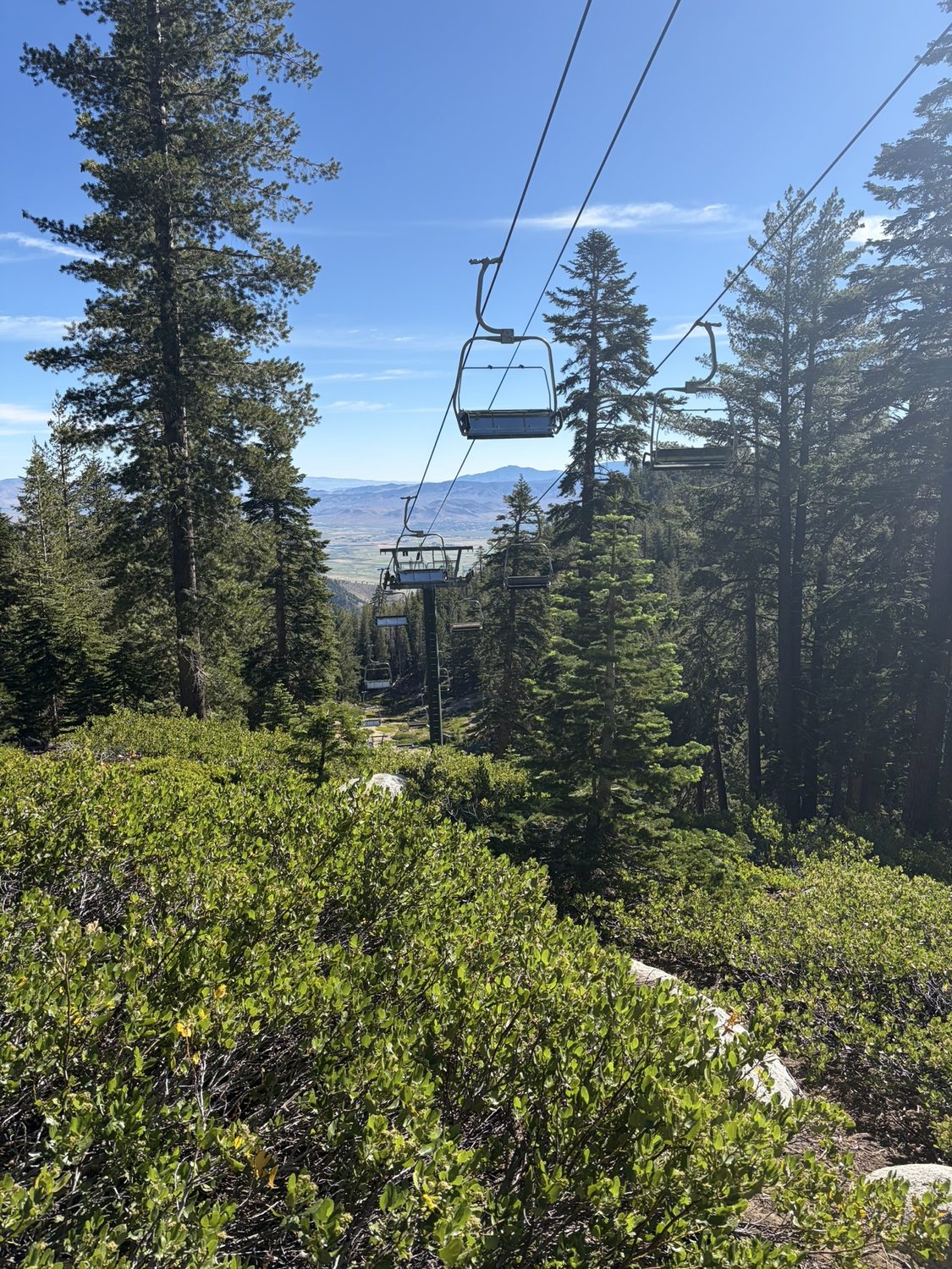 An empty ski chairlift hanging over a green summer slope in the Heavenly ski area