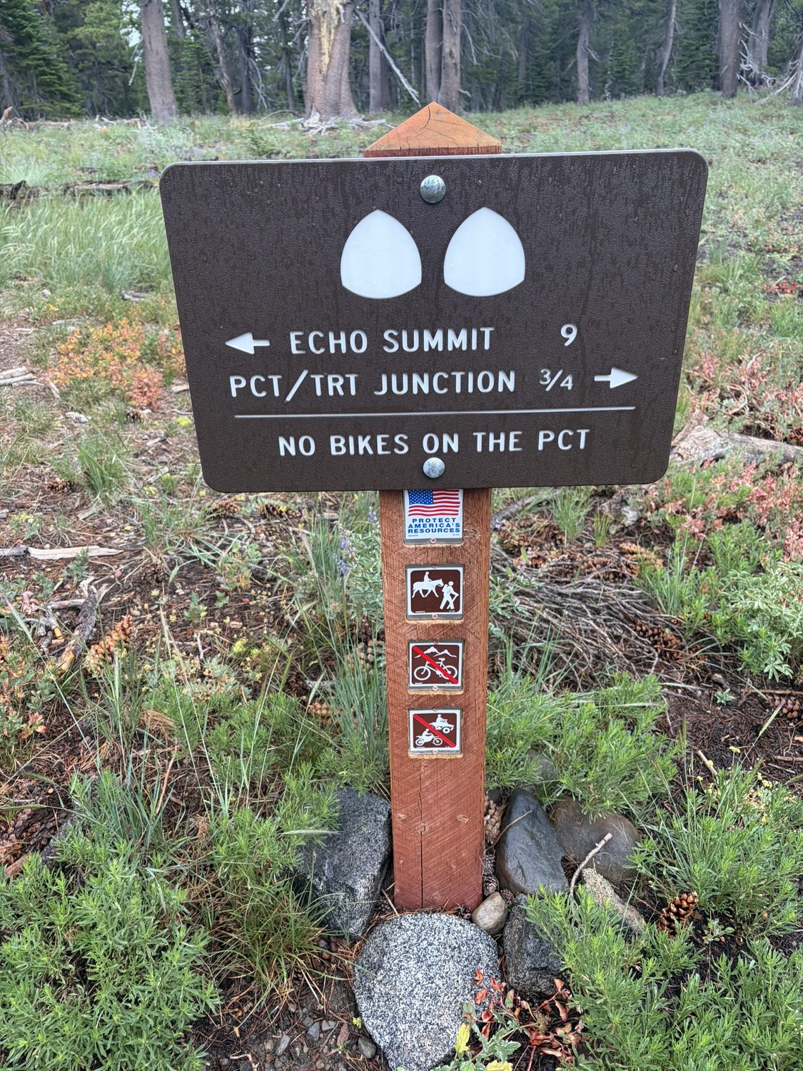 A trail sign at the junction where the Tahoe Rim Trail joins the Pacific Crest Trail near Echo Summit