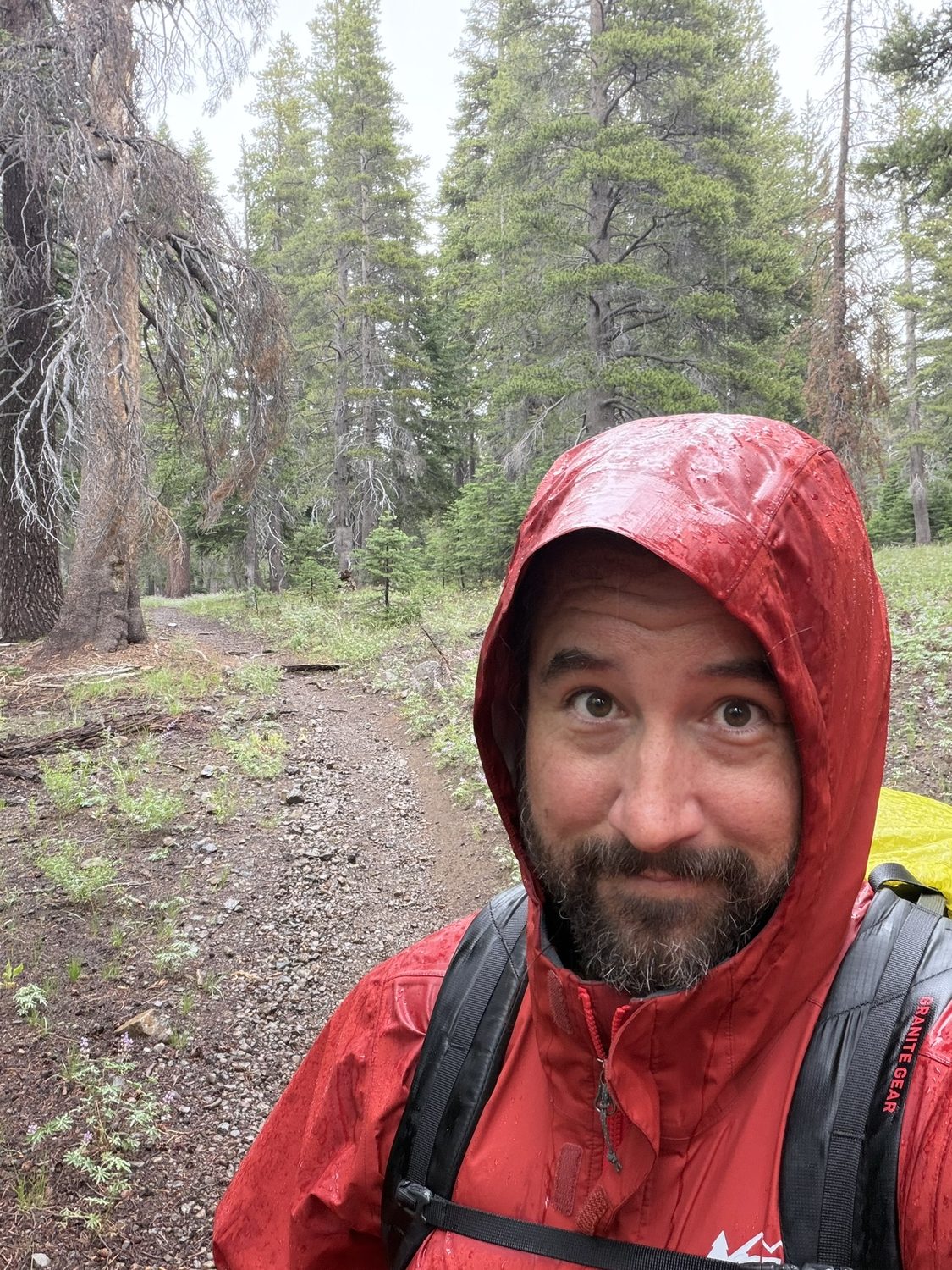 A hiker in a red rain jacket with the hood up, smiling in the rain