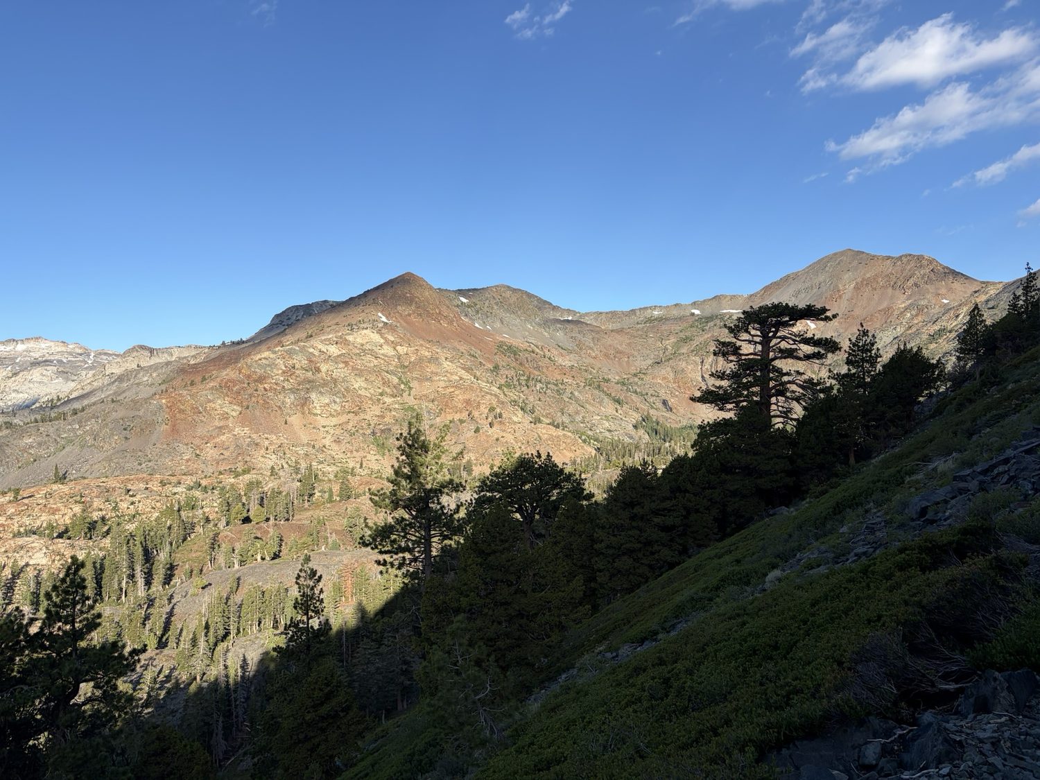 The jagged Crystal Range rising above granite benches and scattered pines from Dicks Pass