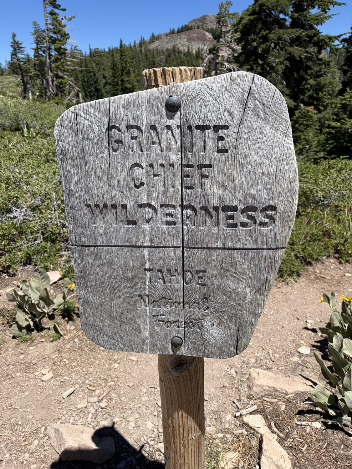 A carved wooden Granite Chief Wilderness boundary sign beside the trail