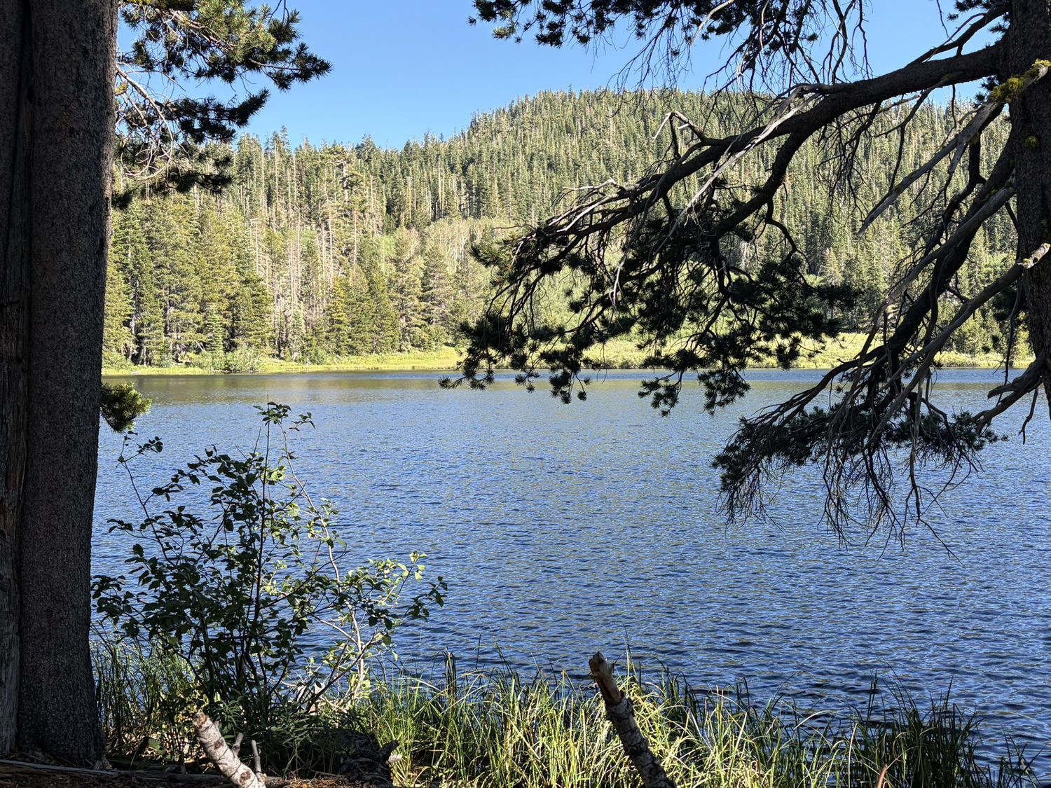 A calm forest-ringed lake with granite domes beyond, north of Desolation Wilderness