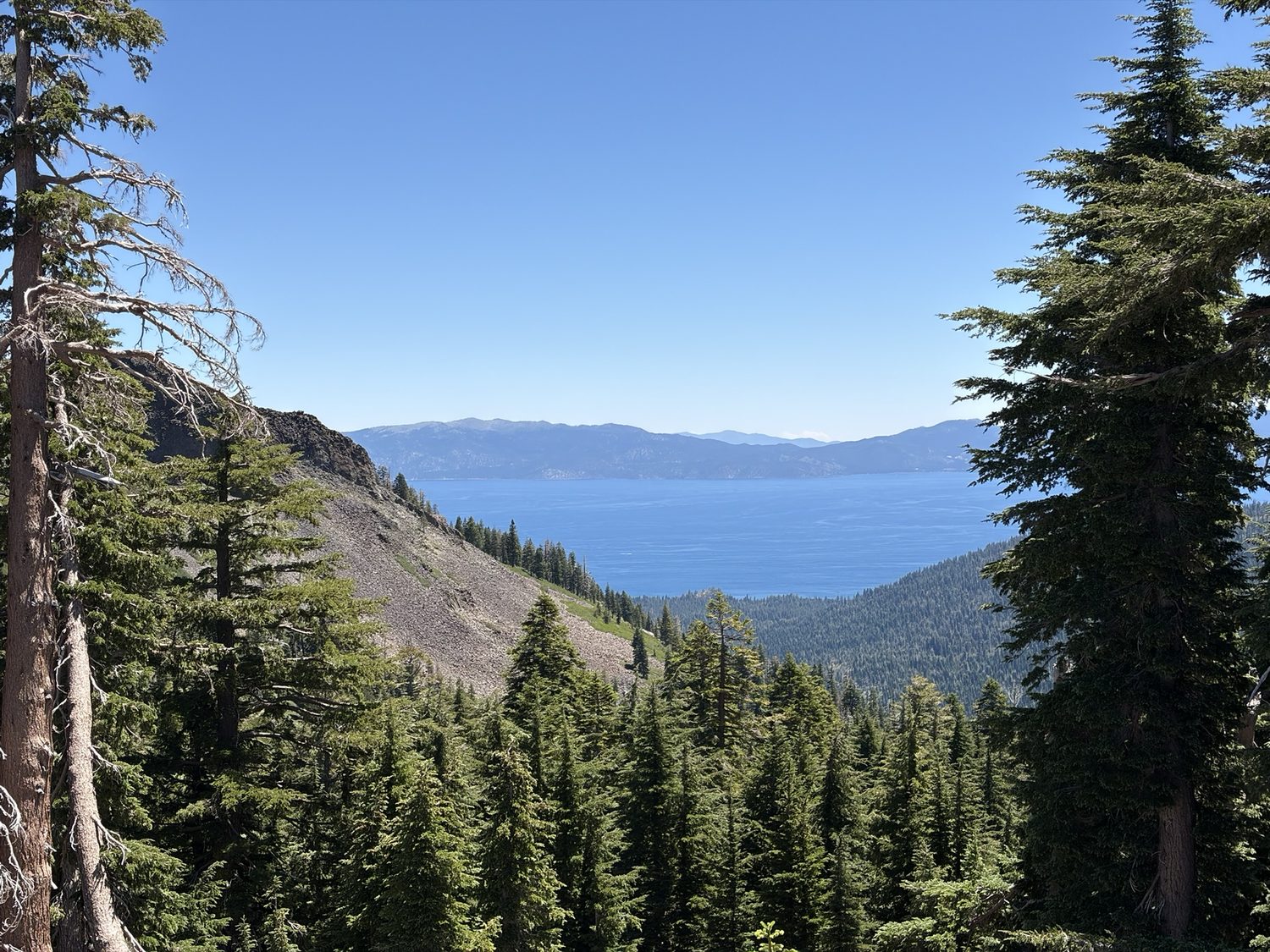 Lake Tahoe seen through pines from the forested west rim of the trail