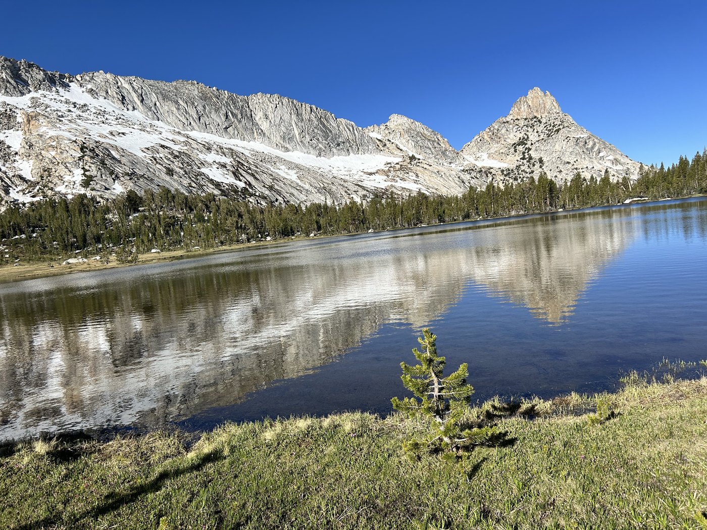 A still alpine lake early on a clear morning reflecting a long snow-covered granite ridge and a sharp pointed summit under a deep blue sky, with grass and small pines along the near shore